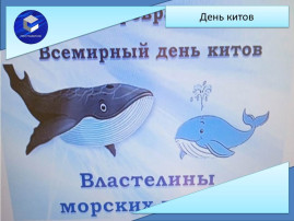 Всемирный день китов Всемирный день китов.