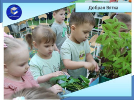 Добрая Вятка Добрая Вятка.